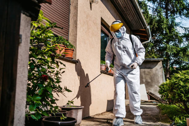 Wasp Removal Services in Pimlico, SC