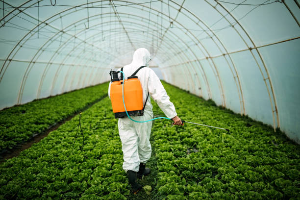 Best Local Pest Control Services  in Pimlico, SC