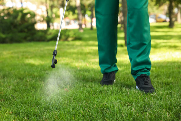 Insect Control in Pimlico, SC