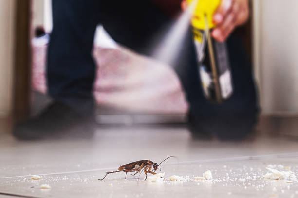 Best Pest Removal Services  in Pimlico, SC
