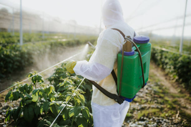 Best Exterminator Services  in Pimlico, SC